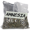 amnesia-lb
