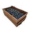blueberry_crate