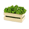 broccoli_crate
