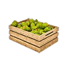 cactusfruit_crate