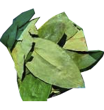 coca.old