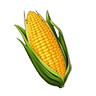 corn