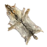 coyotepelt