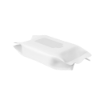 dirty_sponge