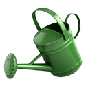 garden_pitcher