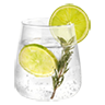 gin_and_tonic