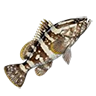 grouper
