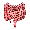 intestines