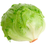 lettuce_uncut