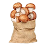 mushroom_sack