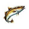 o_codfish