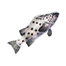 o_giant_seabass