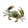 o_kingcrab