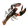 o_lobster