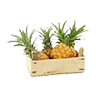 pineapple_crate