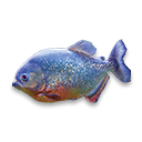 piranha