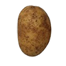 potato
