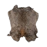 rabbitfur