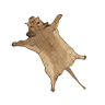 skin_cougar