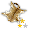 skin_deer_medium