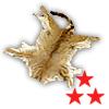 skin_deer_perfect