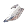 skin_dolphin