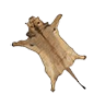 skin_mtlion