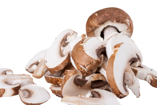 slice_mushroom
