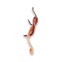 worms